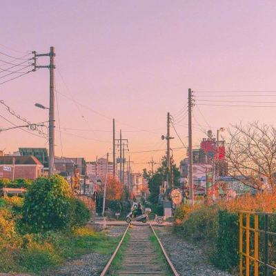 NG体育下载手机版