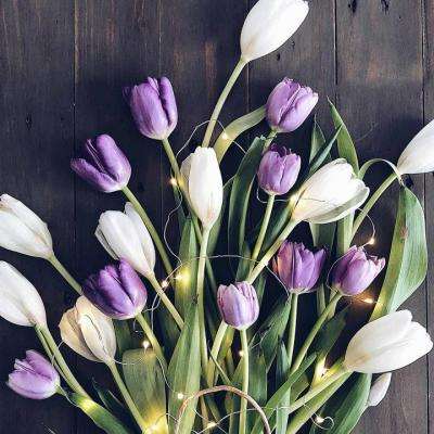 火狐体育APPapp下载截图